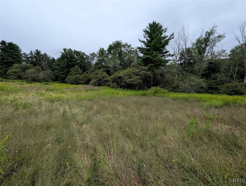 417 State Route Addison, NY 14801 - Photo 23 of 31