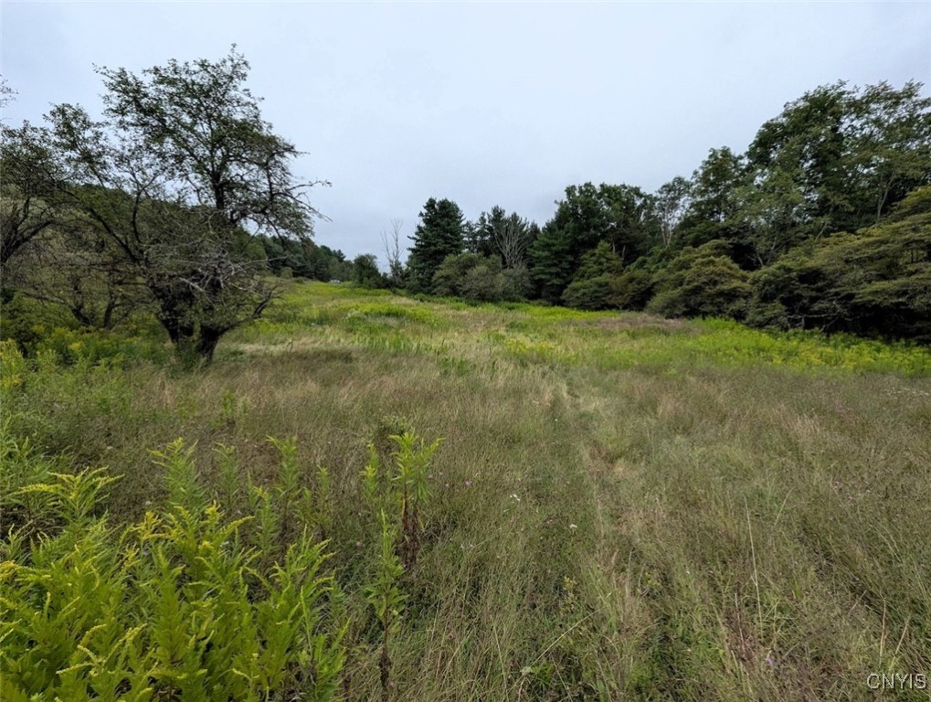 417 State Route Addison, NY 14801 - Photo 24 of 31