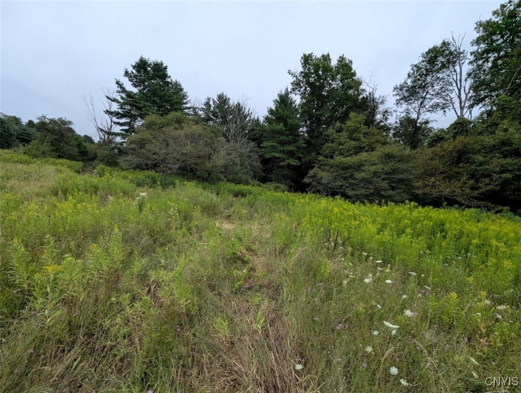 417 State Route Addison, NY 14801 - Photo 26 of 31