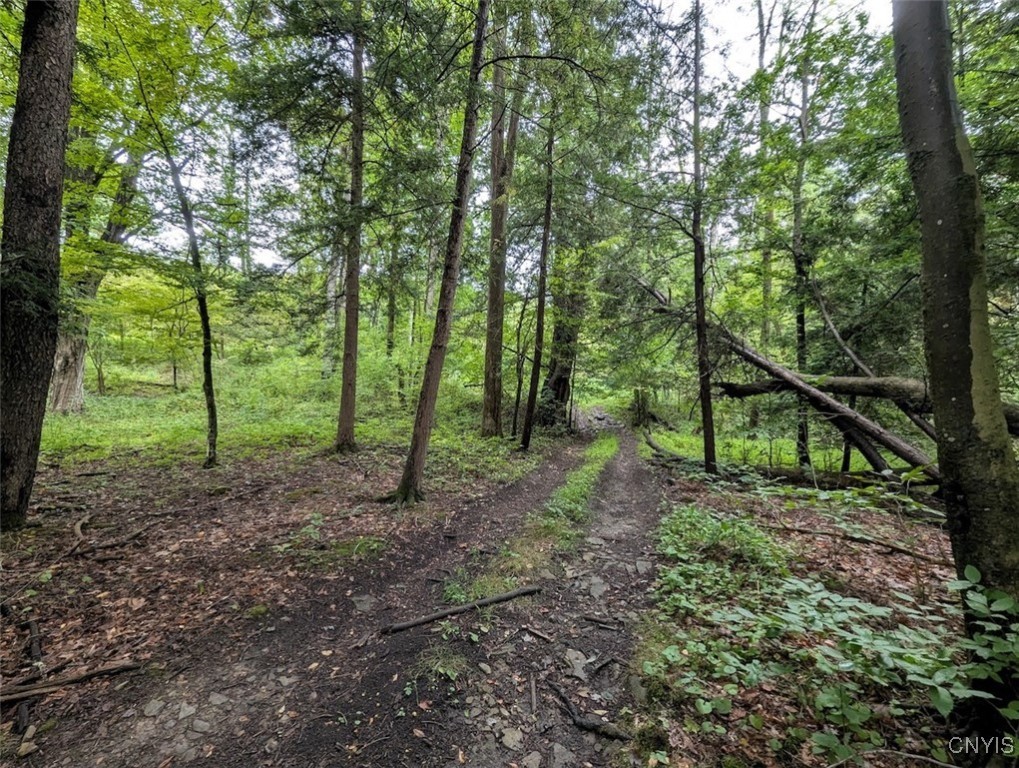 417 State Route Addison, NY 14801 - Photo 3 of 31