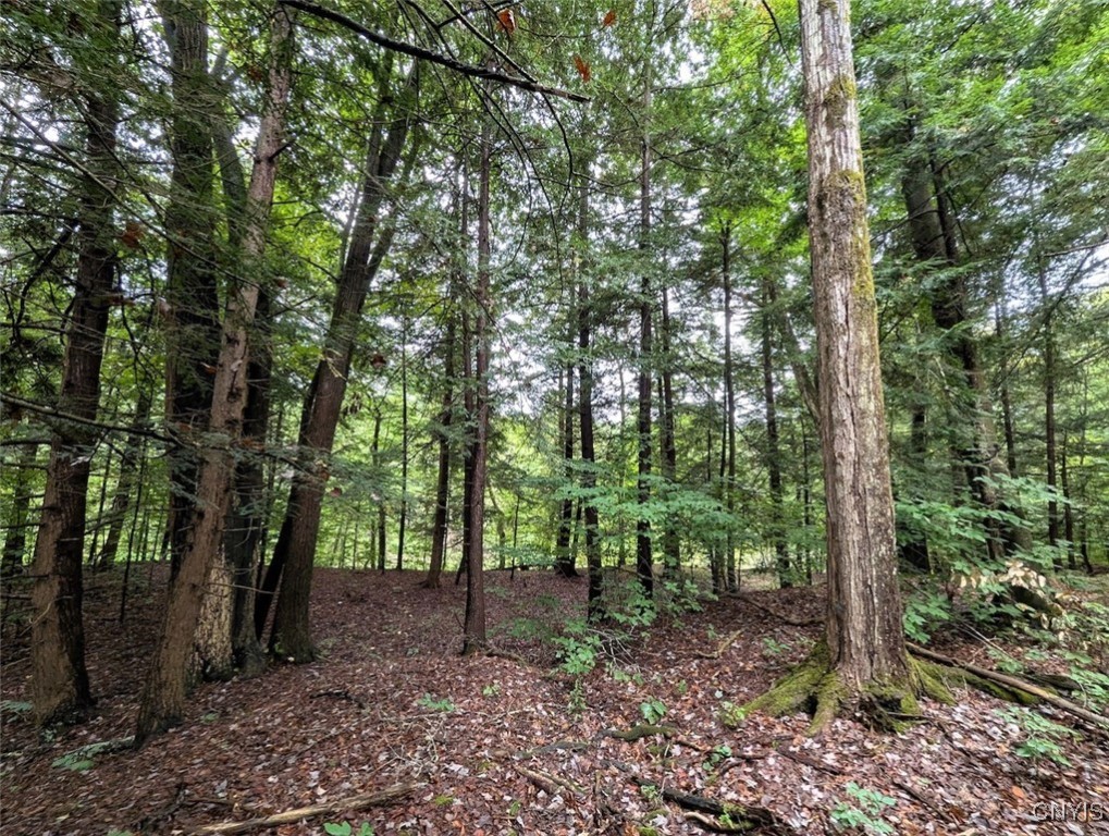 417 State Route Addison, NY 14801 - Photo 6 of 31