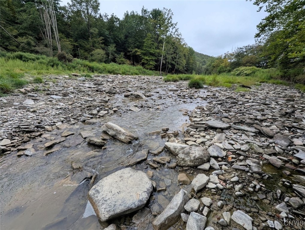 417 State Route Addison, NY 14801 - Photo 8 of 31