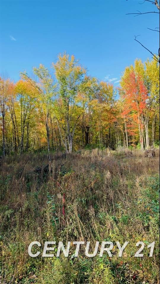 East Townline Road Bridgeport, MI 48722 - Photo 7 of 8