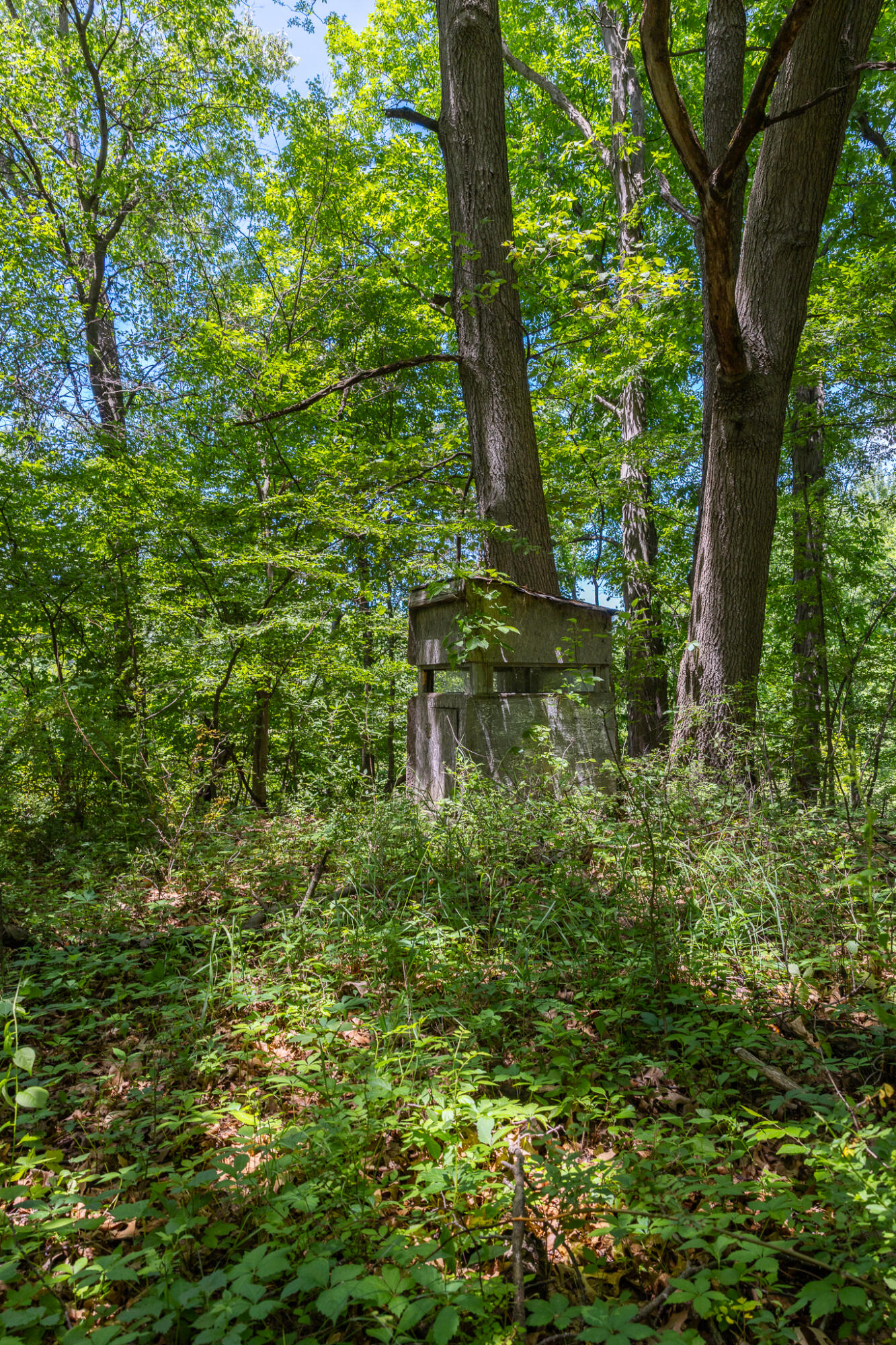 28 28 Mile Road Albion, MI 49224 - Photo 16 of 41 28 Mile -22