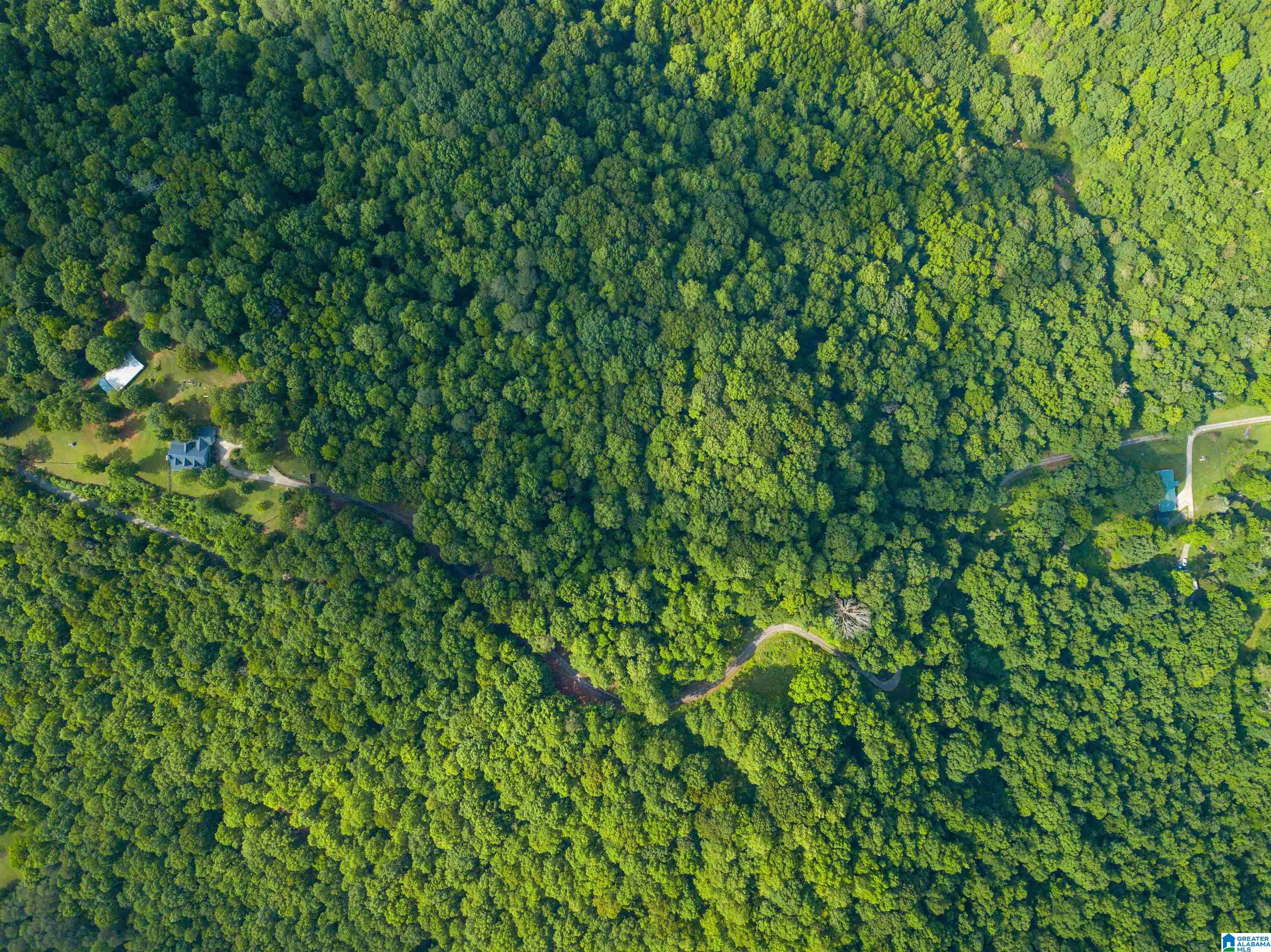 Cliff Road Springville, AL 35146 - Photo 6 of 11