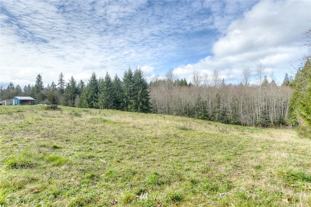 6317 Young Road Northwest Olympia, WA 98502 - Photo 22 of 33 Gallery Image 22