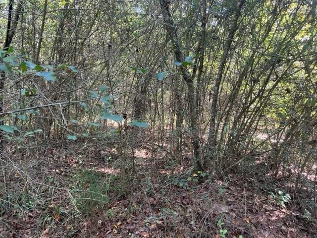 30-ac Union Grove Road Opp, AL 36467 - Photo 23 of 25 Gallery Image 23
