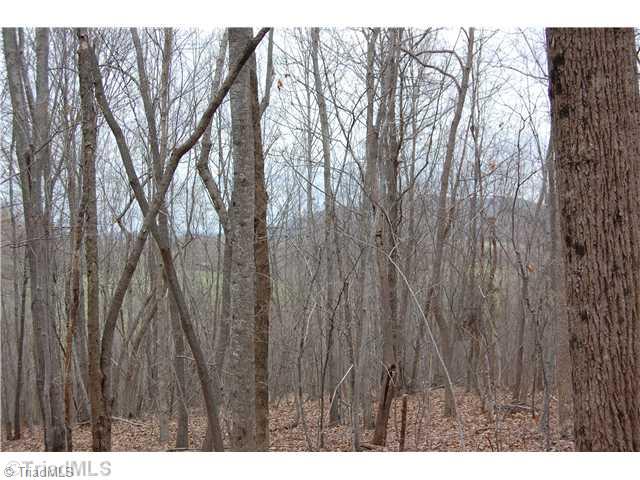Tbd Weaver Road Hamptonville, NC 27020 - Photo 2 of 15 Exterior Front. view from wooded area on Weaver Rd