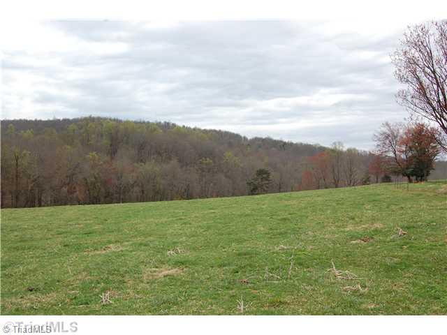 Tbd Weaver Road Hamptonville, NC 27020 - Photo 3 of 15 Exterior Front. pasture off Rob rd