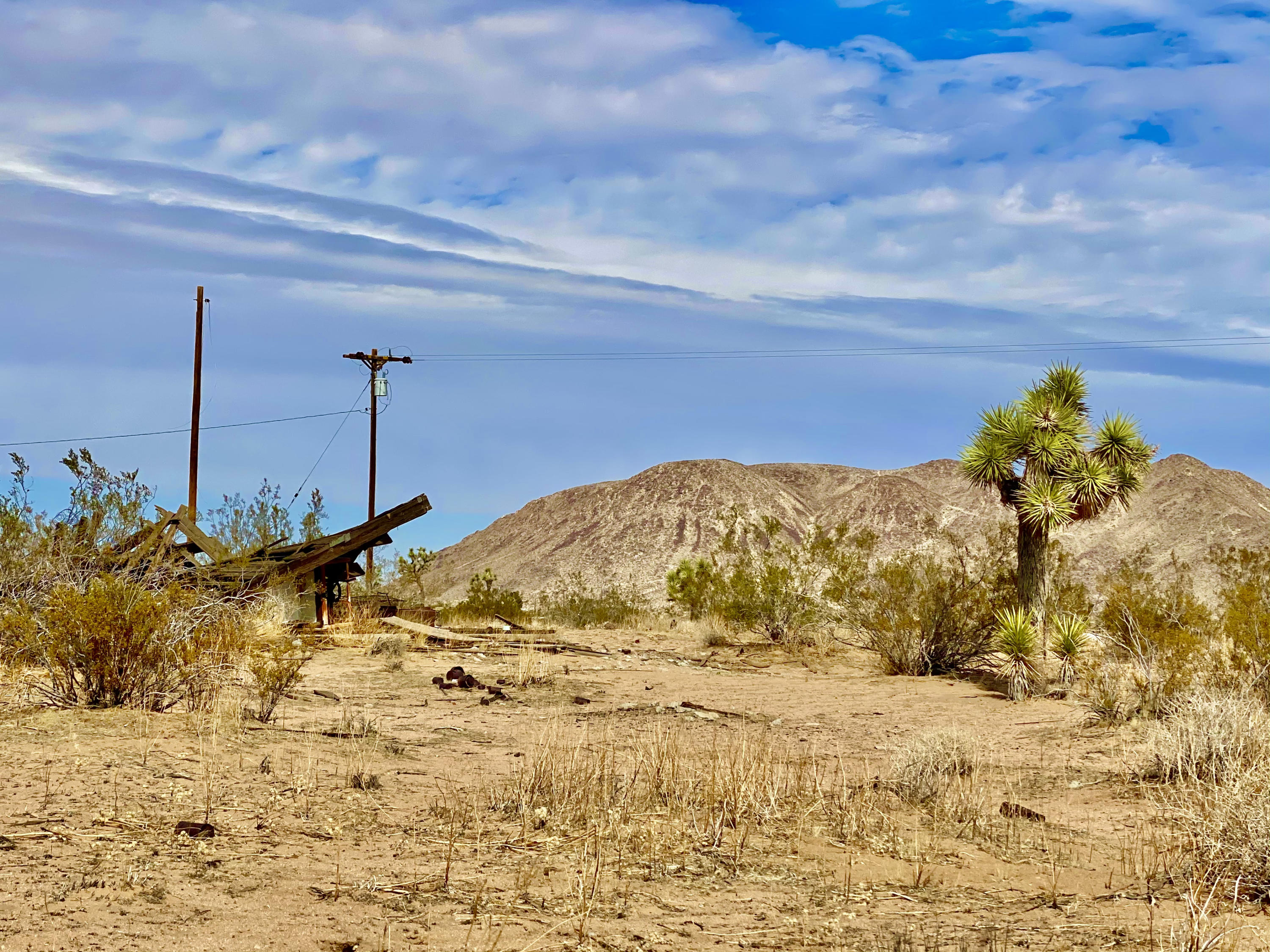 142 Stearman Road Landers, CA 92285 - Photo 11 of 20 IMG_0401