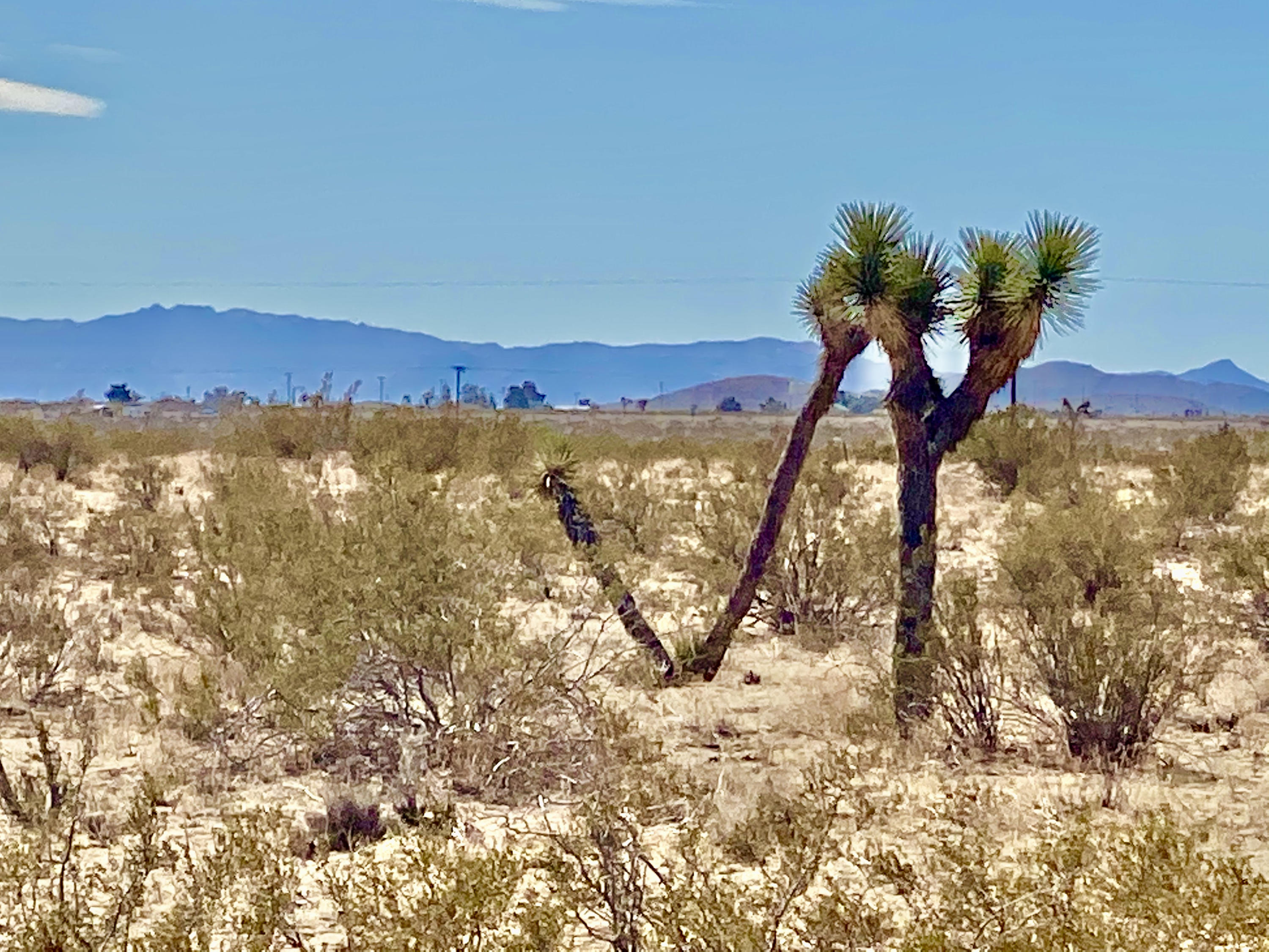 142 Stearman Road Landers, CA 92285 - Photo 9 of 20 IMG_0399
