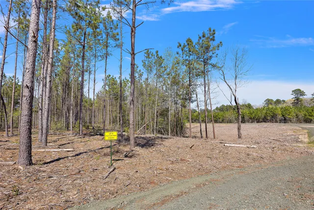 a view of tall trees with wooden fence