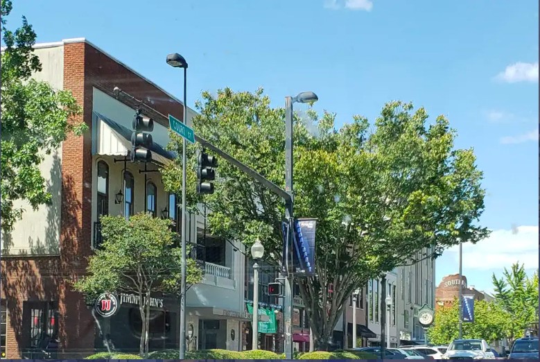 front view of a house with a tree