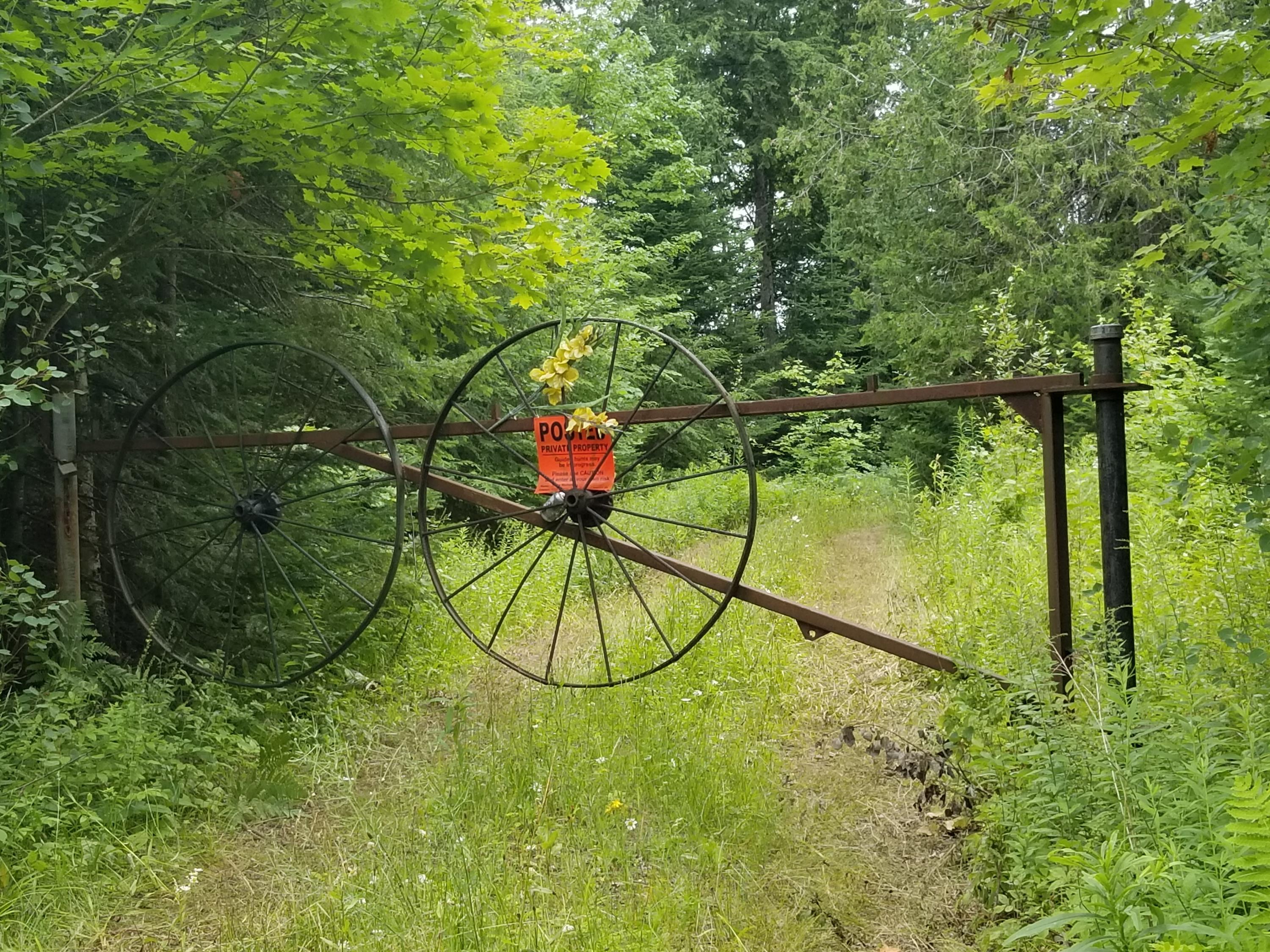 0 West Edge Road Germfask, MI 49836 - Photo 1 of 26 Gallery Image 1