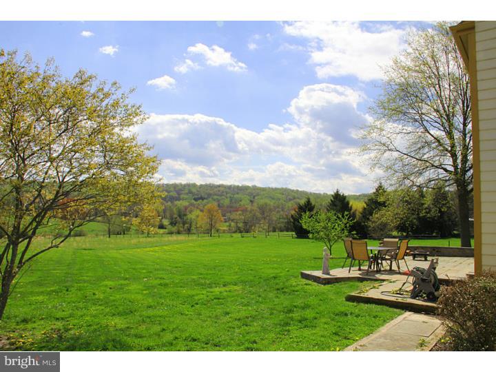 1360 Eagle Road New Hope, PA 18938 - Photo 6 of 25 Back Yard