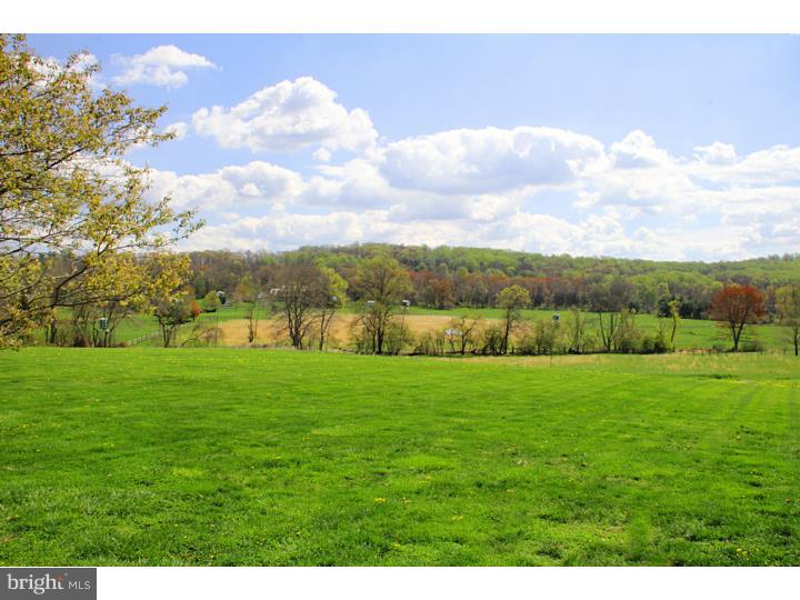 1360 Eagle Road New Hope, PA 18938 - Photo 7 of 25 Back Yard