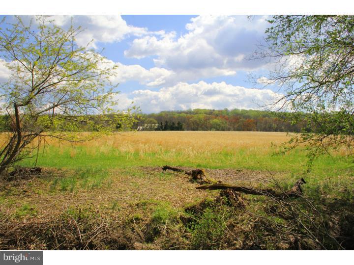 1360 Eagle Road New Hope, PA 18938 - Photo 8 of 25 Back Yard