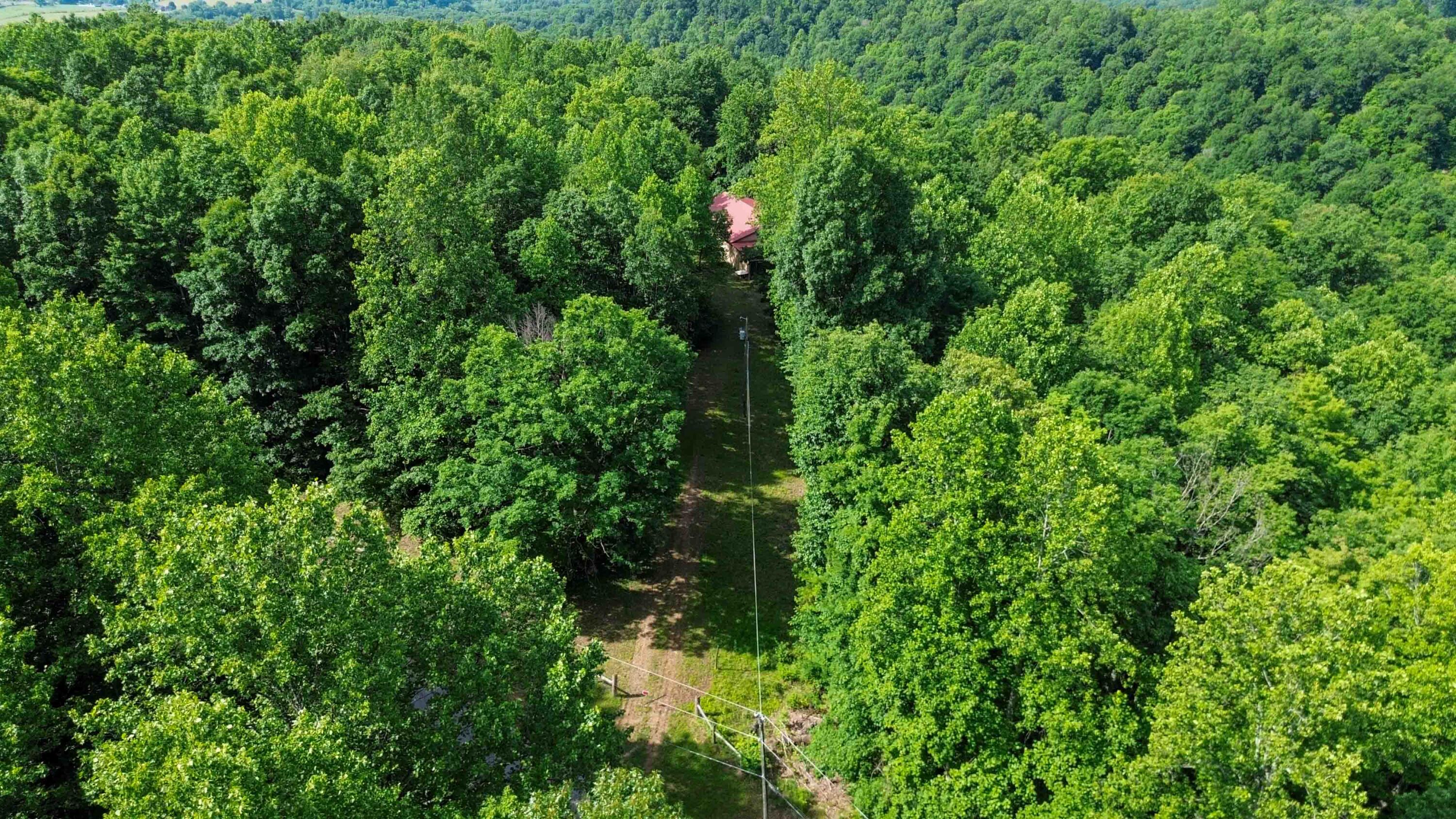 1803 Patsy Riffe Road Middleburg, KY 42541 - Photo 69 of 73 0068