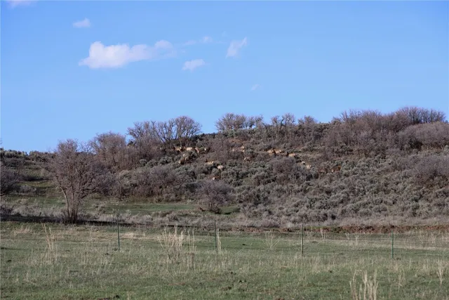 $12,995,000 | 100 Other Co 81623, Carbondale, CO 81623