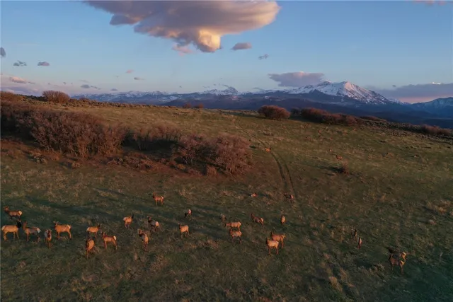 $12,995,000 | 100 Other Co 81623, Carbondale, CO 81623