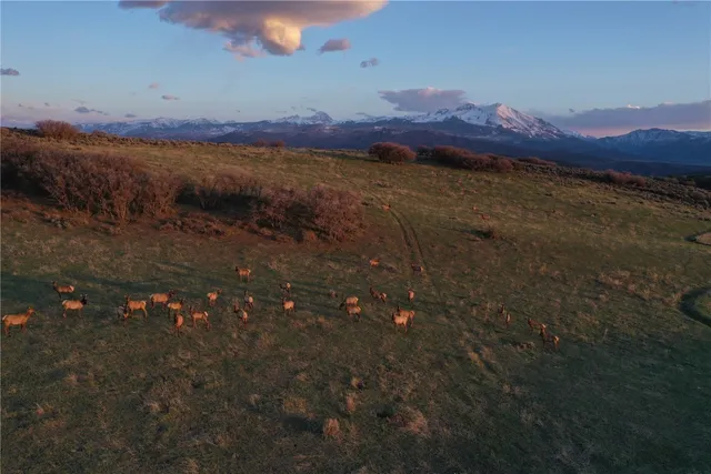 $12,995,000 | 100 Other Co 81623, Carbondale, CO 81623