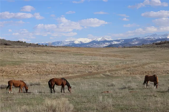 $12,995,000 | 100 Other Co 81623, Carbondale, CO 81623