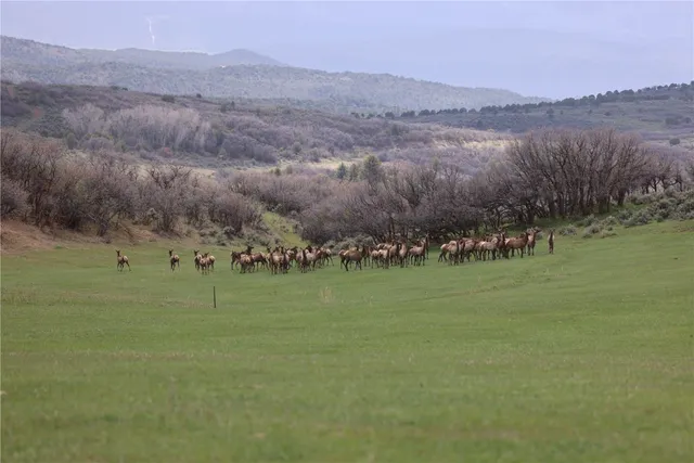 $12,995,000 | 100 Other Co 81623, Carbondale, CO 81623