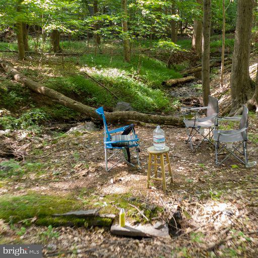 1224 Telegraph Road Perkasie, PA 18944 - Photo 11 of 23 Sit Next to the Quiet Stream