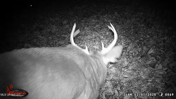 $99,500 | 504 247th Road, Unit COUNTRY, Bruce, MS 38915