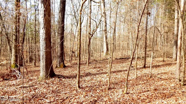 $99,500 | 504 247th Road, Unit COUNTRY, Bruce, MS 38915