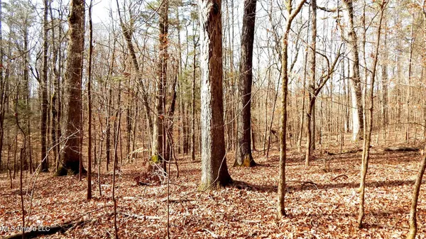 $99,500 | 504 247th Road, Unit COUNTRY, Bruce, MS 38915