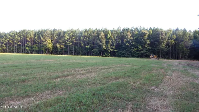 $99,500 | 504 247th Road, Unit COUNTRY, Bruce, MS 38915