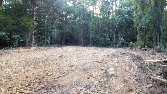 $99,500 | 504 247th Road, Unit COUNTRY, Bruce, MS 38915