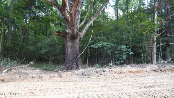 $99,500 | 504 247th Road, Unit COUNTRY, Bruce, MS 38915