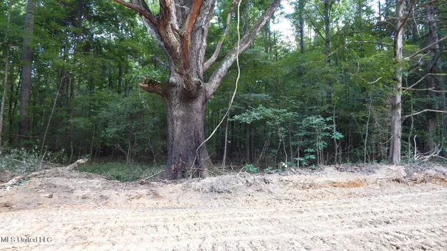 $99,500 | 504 247th Road, Unit COUNTRY, Bruce, MS 38915