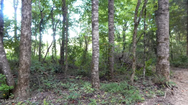 $99,500 | 504 247th Road, Unit COUNTRY, Bruce, MS 38915