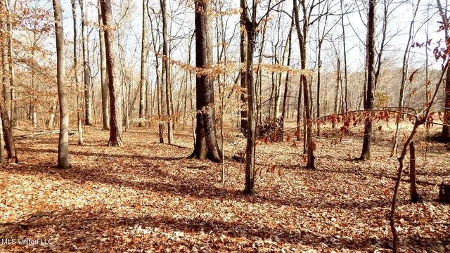 $99,500 | 504 247th Road, Unit COUNTRY, Bruce, MS 38915