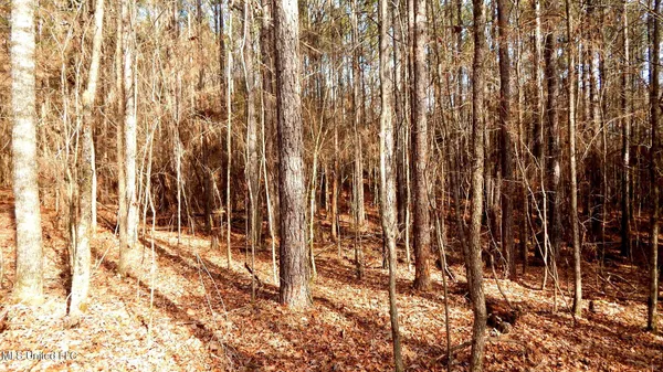 $99,500 | 504 247th Road, Unit COUNTRY, Bruce, MS 38915