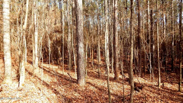 $99,500 | 504 247th Road, Unit COUNTRY, Bruce, MS 38915