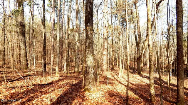 $99,500 | 504 247th Road, Unit COUNTRY, Bruce, MS 38915