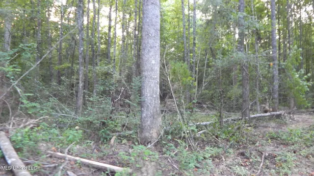 $99,500 | 504 247th Road, Unit COUNTRY, Bruce, MS 38915