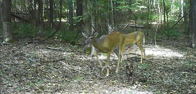 $99,500 | 504 247th Road, Unit COUNTRY, Bruce, MS 38915