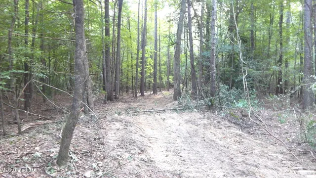 $99,500 | 504 247th Road, Unit COUNTRY, Bruce, MS 38915