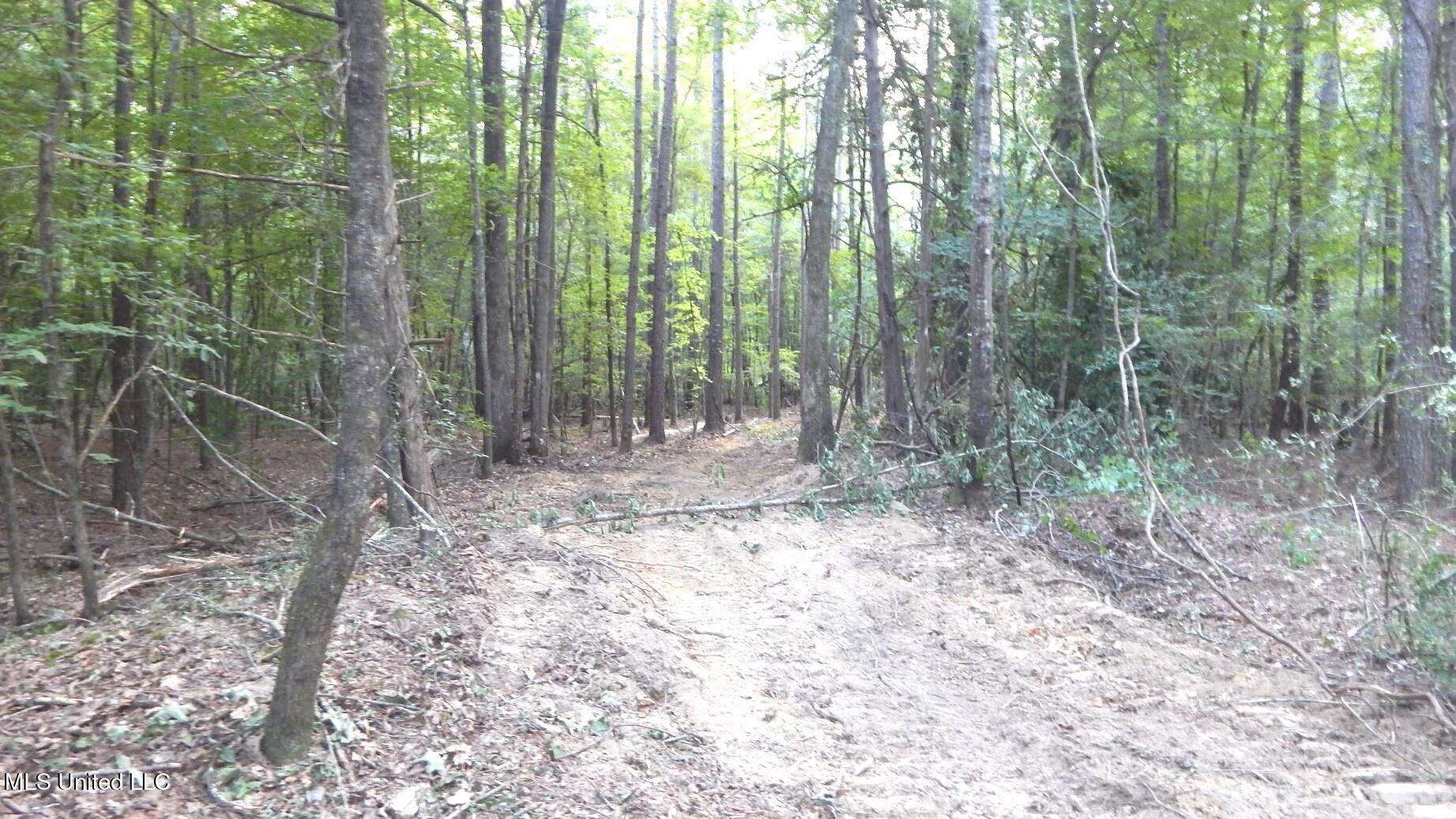 504 247th Road, Unit COUNTRY Bruce, MS 38915 - Photo 8 of 36 DSCN5723