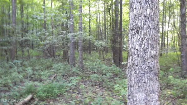 $99,500 | 504 247th Road, Unit COUNTRY, Bruce, MS 38915