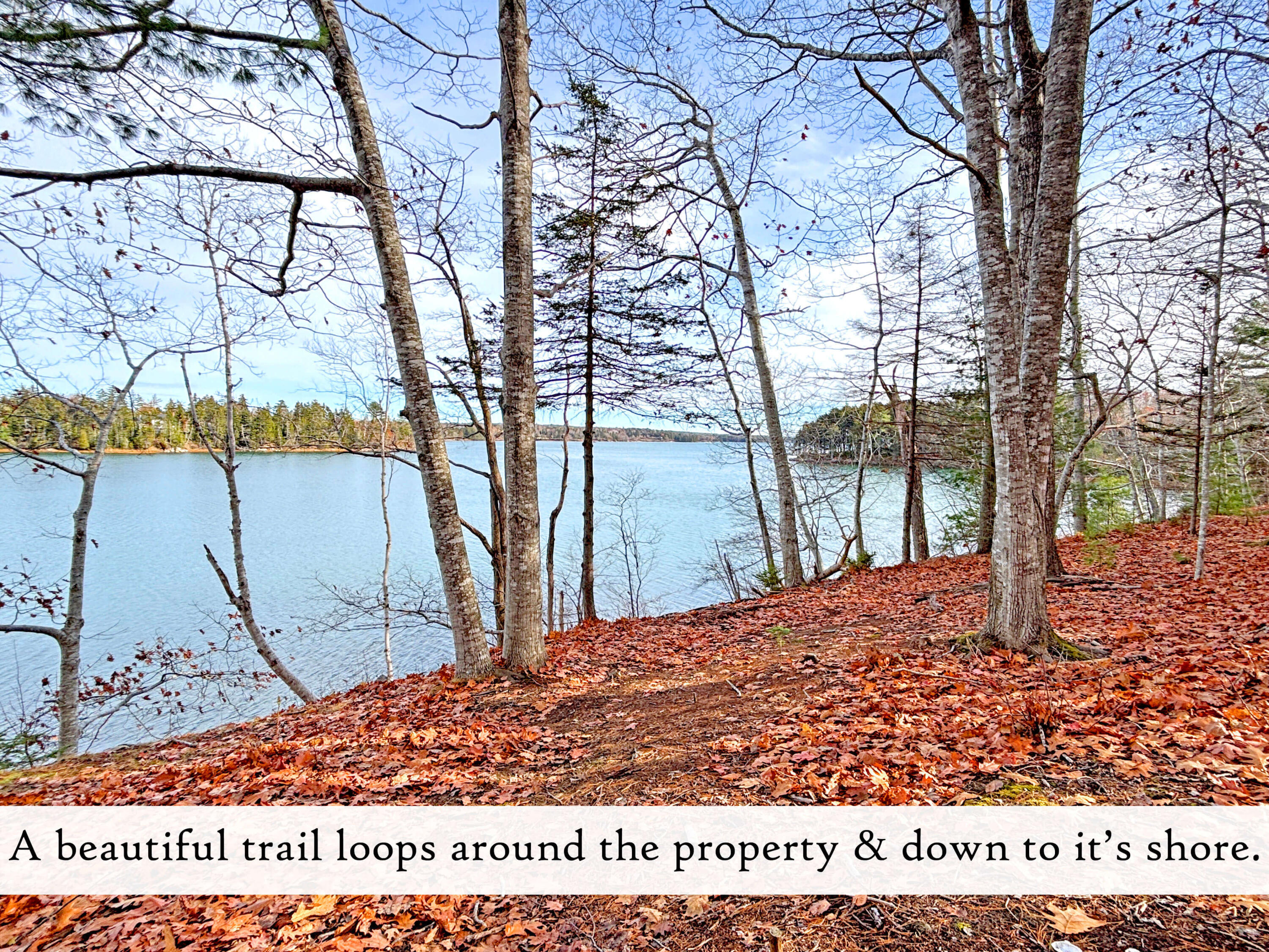 313 East Side Road Sorrento, ME 04677 - Photo 82 of 103 Waterfront (1), label