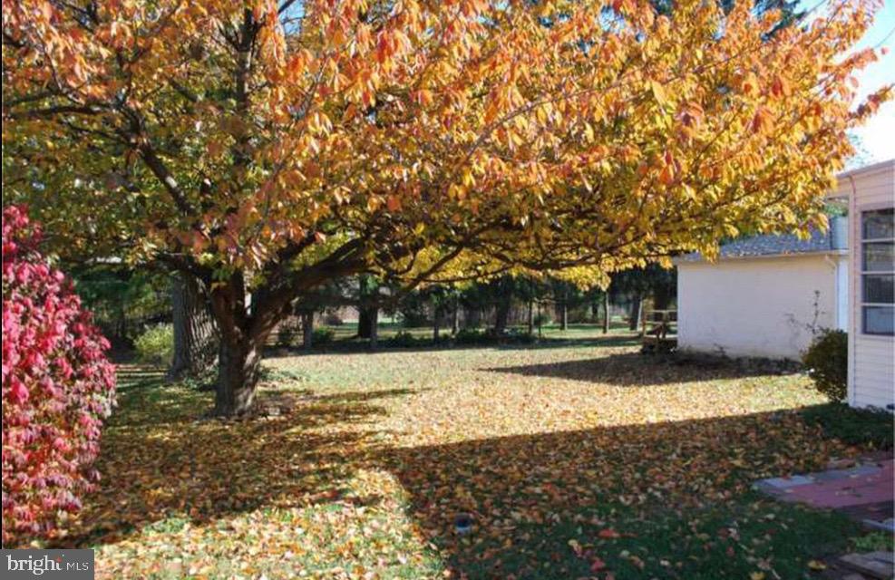 645 Reeceville Road Coatesville, PA 19320 - Photo 12 of 15 Side Yard