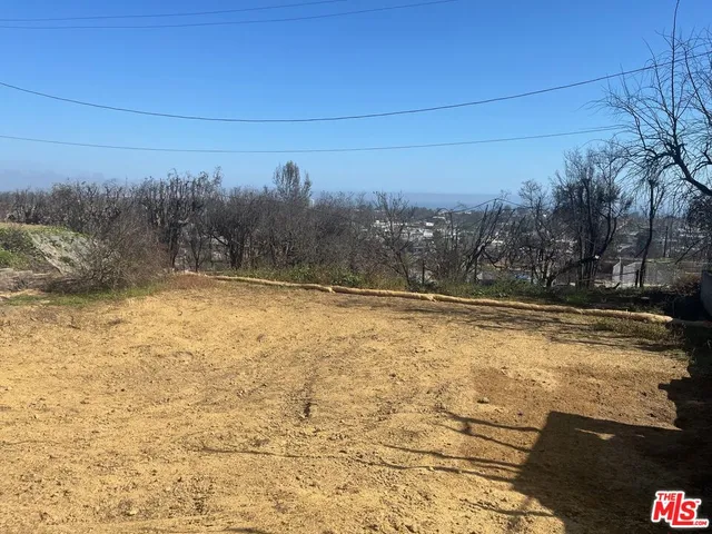 a view of a yard with trees in the background