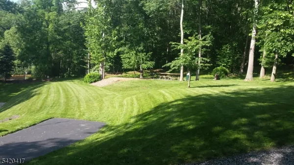 a yard with trees in the background