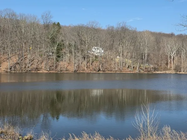 a view of a lake with a mountain in the background